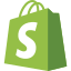 Shopify Web Design